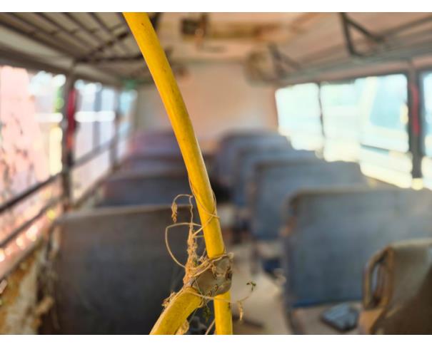 Foto de ONIBUS  MARCOPOLO/VOLARE V8L ESC, DIESEL, AMARELA, 2010/2011, CHASSI: 93PB42G3PBC034170, RENAVAM: 00265077621, NO ESTADO EM QUE SE ENCONTRA. 