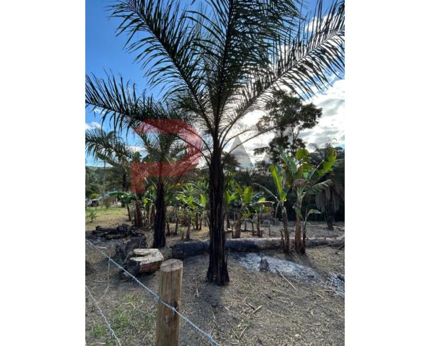 Foto de Terreno com 4.350 m², todo cercado, localizado na região de Caeté