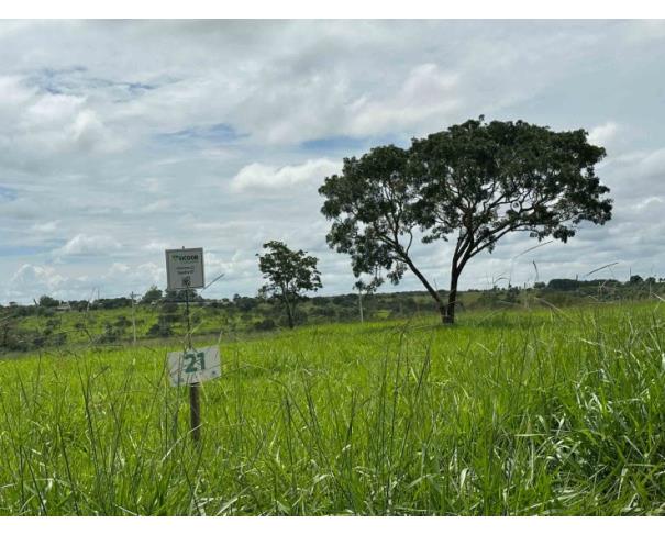 Foto de Chácara 21, Quadra 07, do Chacreamento Espelho D’Água, situada na Rua G, em Abaeté/MG, com área de 1.000,00 m², matrícula nº 29.159 do CRI de Abaeté/MG.