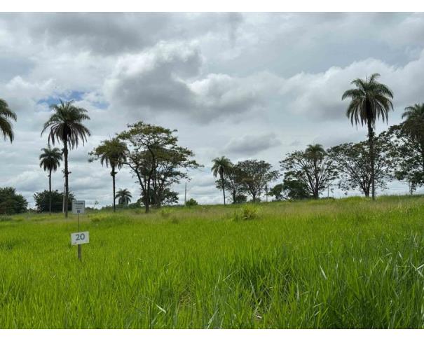Foto de Chácara 20, Quadra 06, localizada na Rua G, no Chacreamento Espelho D’Água, em Abaeté/MG, com área total de 1.000,00 m², matrícula nº 29.124 do CRI de Abaeté/MG.