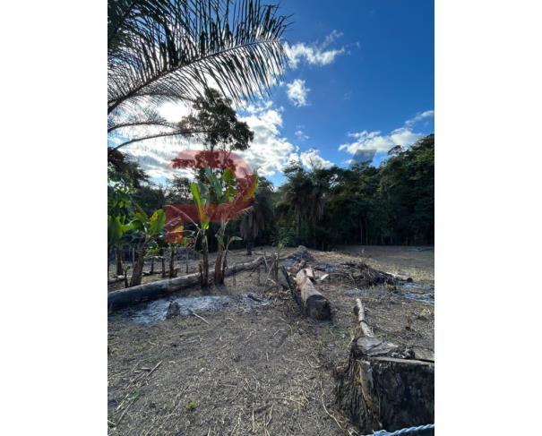 Foto de Terreno com 4.350 m², todo cercado, localizado na região de Caeté