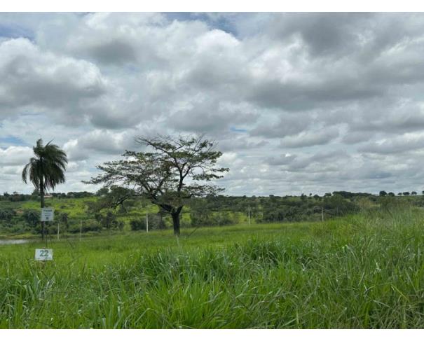 Foto de Chácara 22, Quadra 05, localizada na Rua F, no Chacreamento Espelho D’Água, em Abaeté/MG, com área total de 1.000,00 m², matrícula nº 29.086 do CRI de Abaeté/MG.