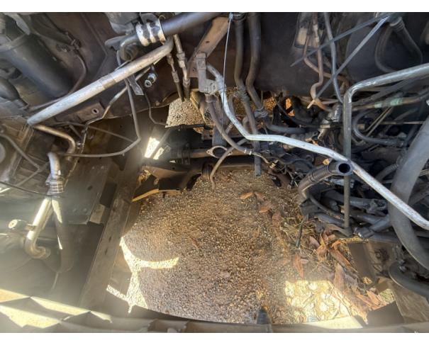 Foto de MICROONIBUS, RENAULT/M REVESCAP L3H2, BRANCA, 2018/2019, DIESEL, CHASSI: 93YMAF4XEKJ753659, RENAVAM: 01181847211, NO ESTADO EM QUE SE ENCONTRA.
