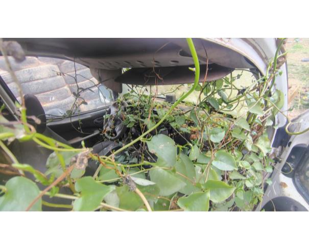 Foto de CAMINHONE FIAT/DOBLO GREENCAR MO4, ALCOOL/GASOLINA, BRANCA, 2014/2014, CHASSI: 9BD223246E2037248, RENAVAM: 01010637840, NO ESTADO EM QUE SE ENCONTRA.