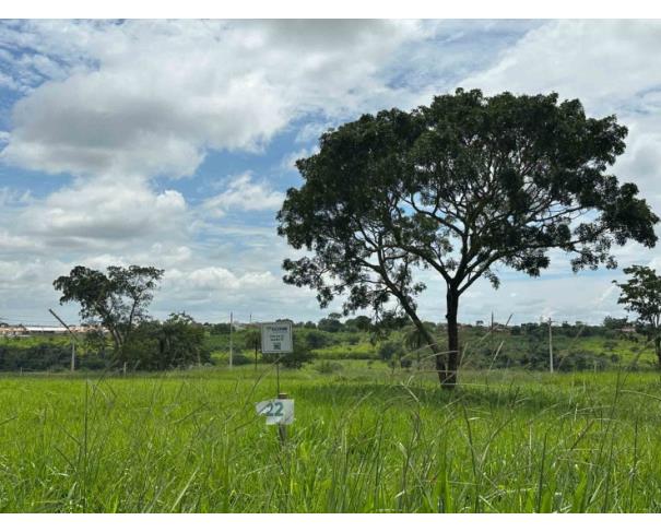 Foto de Chácara 22, Quadra 07, localizada na Rua G, no Chacreamento Espelho D’Água, em Abaeté/MG, com área total de 1.000,00 m², matrícula nº 29.160 do CRI de Abaeté/MG. 