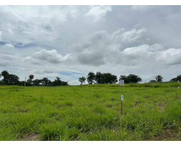 Foto de Chácara 18, Quadra 04, do Chacreamento Espelho D’Água, situada na Rua F, em Abaeté/MG, com área de 1.000,00 m², matrícula nº 29.049 do CRI de Abaeté/MG.