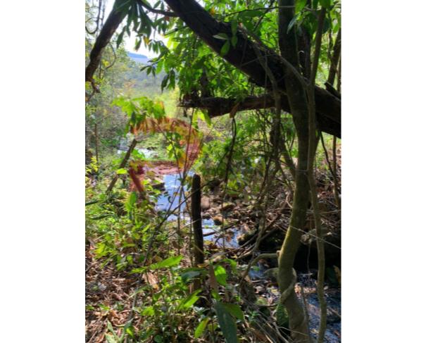 Foto de Terreno com 4.350 m², todo cercado, localizado na região de Caeté