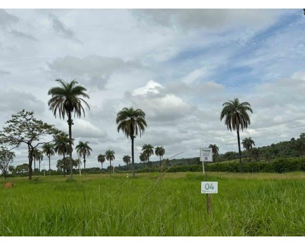 Foto de Chácara 04, Quadra 06, localizada na Rua F, no Chacreamento Espelho D’Água, em Abaeté/MG, com área total de 1.000,00 m², matrícula nº 29.108 do CRI de Abaeté/MG. 