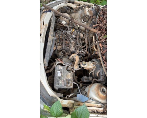 Foto de AUTOMOVEL, VW/GOL MPI, BRANCA, 2022/2023, ALCOOL/GASOLINA, CHASSI: 9BWAG45UXPT029281, RENAVAM: 01321854401.