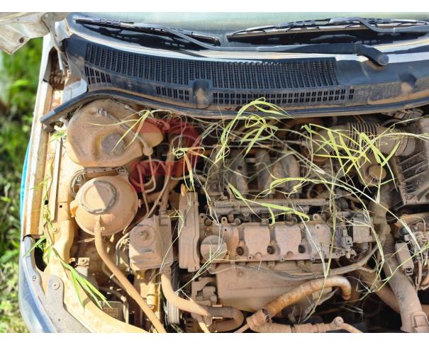 Foto de AUTOMOVEL, VW/GOL 1.6L MB5, BRANCO, 2020/2021, ALCOOL/GASOLINA, RENAVAM: 01245398129, CHASSI: 9BWAB45U2MT079151, NO ESTADO EM QUE SE ENCONTRA.