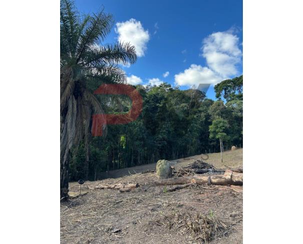 Foto de Terreno com 4.350 m², todo cercado, localizado na região de Caeté