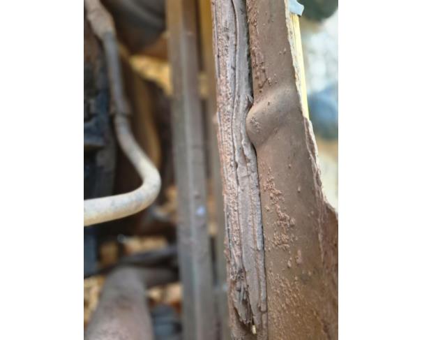 Foto de ONIBUS MARCOPOLO/VOLARE V8L ESC, DIESEL, AMARELA, 2010/2011, CHASSI: 93PB42G3PBC034175, RENAVAM: 00265090881, NO ESTADO EM QUE SE ENCONTRA.