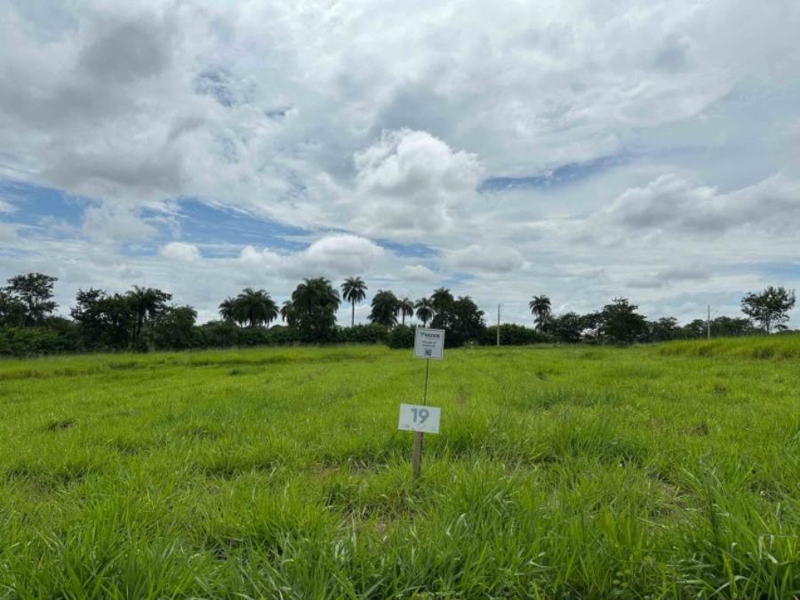 Chácara 19, Quadra 04, do Chacreamento Espelho D’Água, situada na Rua F, em Abaeté/MG, com área de 1.000,00 m², matrícula nº 29.050 do CRI de Abaeté/MG.