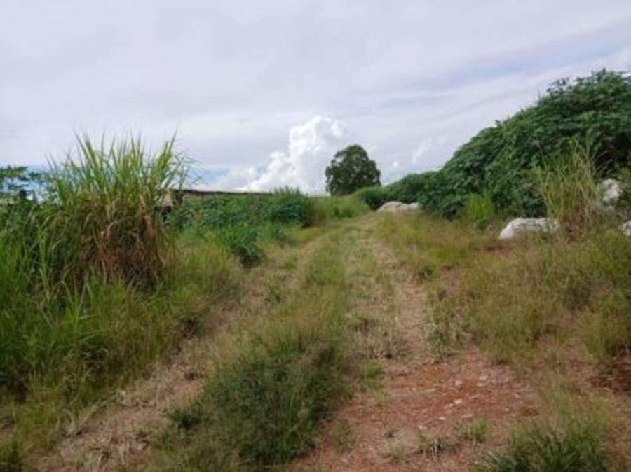 Foto de Lote nº 16, Quadra nº 04, situado na Rua Imbiara, no loteamento denominado Distrito Industrial, Araxá/MG, com área de 2.524,20m², matriculado sob nº 19.494 no Registro de Imóveis de Araxá.