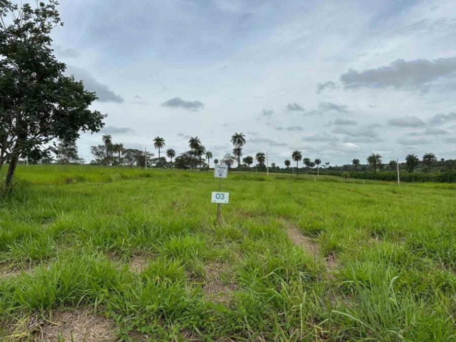 Imagem do imóvel Chácara 03, Quadra 04, do Chacreamento Espelho D’Água, situada na Rua E, em Abaeté/MG, com área de 1.000,00 m², matrícula nº 29.034 do CRI de Abaeté/MG. SICOOB