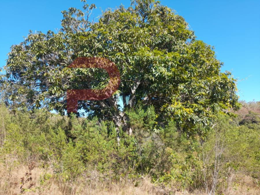 TERRENO COM APROXIMADAMENTE 9,71 HECTARES, TODO CERCADO, LOCALIZADO A 17 KM DA CIDADE DE PRESIDENTE KUBITSCHEK – MG. CONTA COM DUAS NASCENTES, SENDO UMA DELAS PROVENIENTE DE UMA GRUTA COM ÁGUA PURA E CRISTALINA. NO ESTADO EM QUE SE ENCONTRA, localizado em Presidente Kubitschek - MG