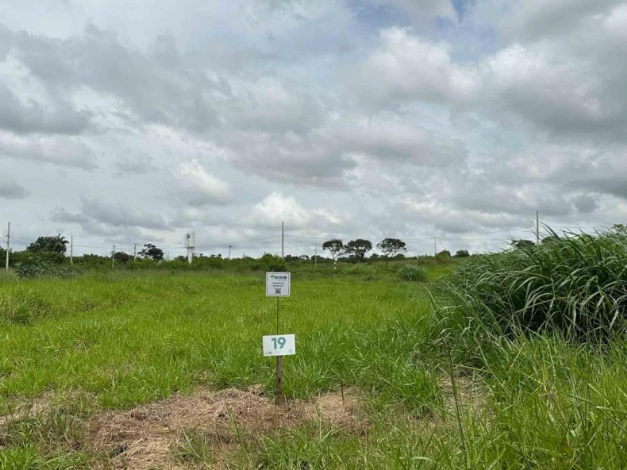 Imagem do imóvel Chácara 19, Quadra 07, localizada na Rua F, no Chacreamento Espelho D’Água, em Abaeté/MG, com área total de 1.000,00 m², matrícula nº 29.157 do CRI de Abaeté/MG. SICOOB