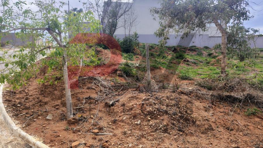 LOTE 01 B, QUADRA 02, LOTEAMENTO NASCER DO SOL, CRUCILÂNDIA - MG, SITUADO À RUA JOSIAS LUIZ DO NASCIMENTO, S/N, BAIRRO SOLEDADE. ÁREA TERRANO: 286,37 M². MATRÍCULA 21.882 DO CRI DE BONFIM - MG. Prefeitura Municipal de Crucilândia, localizado em Crucilândia - MG, bairro Soledade