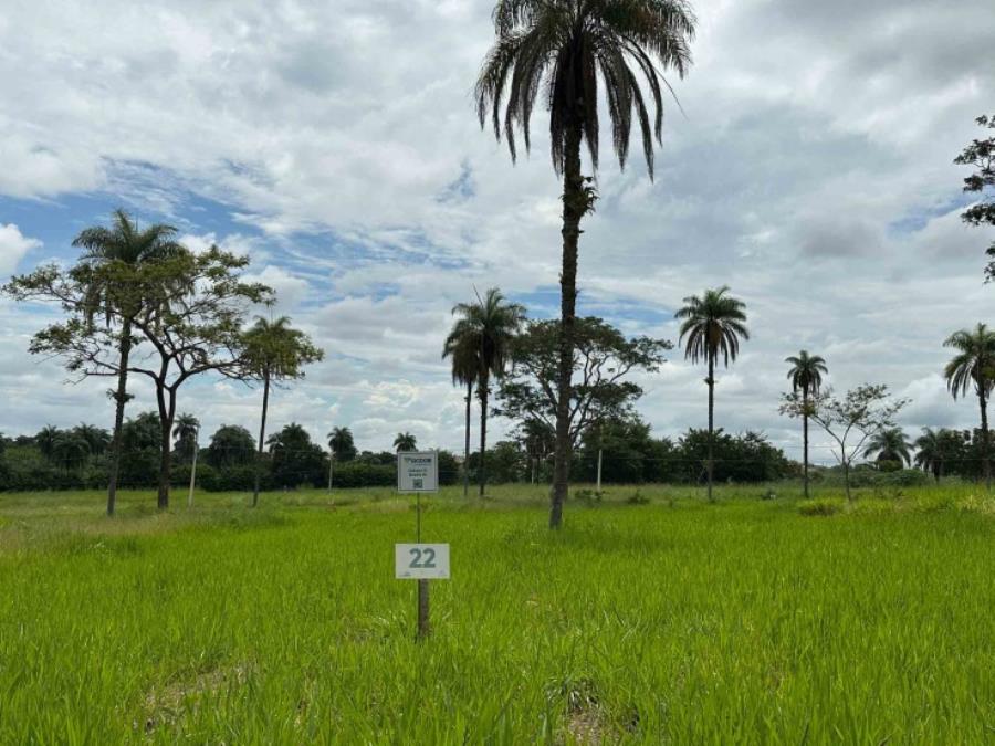 Imagem do imóvel Chácara 22, Quadra 06, localizada na Rua G, no Chacreamento Espelho D’Água, em Abaeté/MG, com área total de 1.000,00 m², matrícula nº 29.126 do CRI de Abaeté/MG. SICOOB