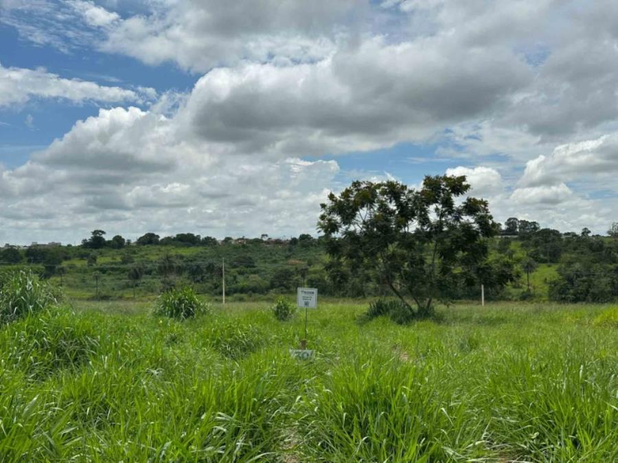 Imagem do imóvel Chácara 30, Quadra 05, do Chacreamento Espelho D’Água, situada na Rua F, em Abaeté/MG, com área de 1.000,00 m², matrícula nº 29.094 do CRI de Abaeté/MG. SICOOB