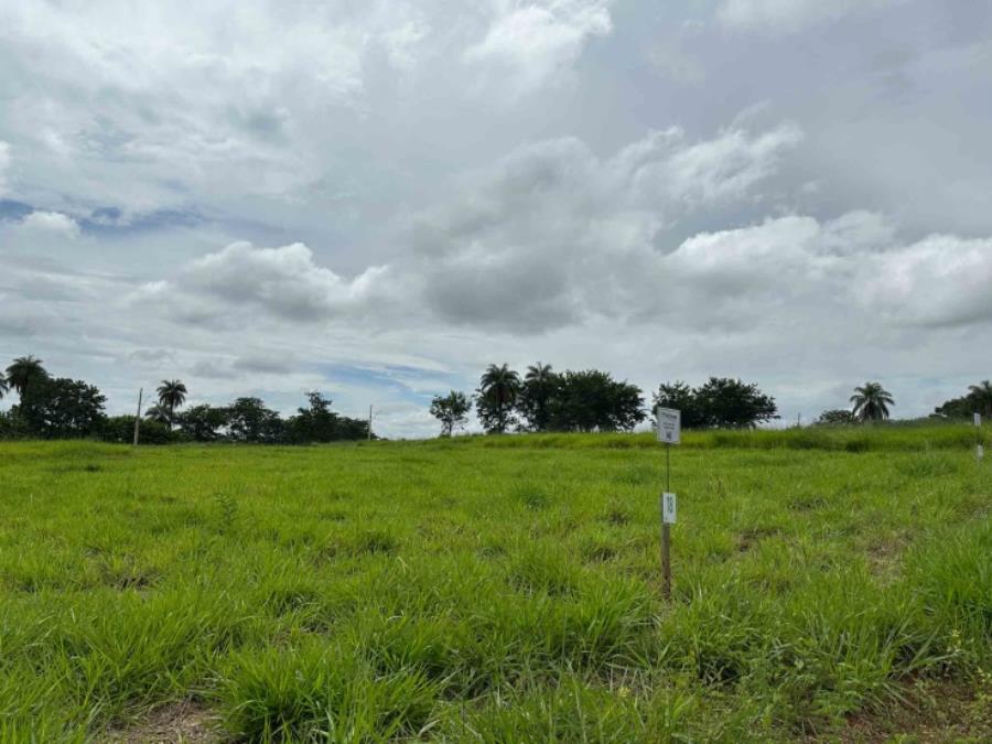 Imagem do imóvel Chácara 18, Quadra 04, do Chacreamento Espelho D’Água, situada na Rua F, em Abaeté/MG, com área de 1.000,00 m², matrícula nº 29.049 do CRI de Abaeté/MG. SICOOB