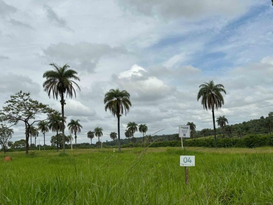 Imagem do imóvel Chácara 04, Quadra 06, localizada na Rua F, no Chacreamento Espelho D’Água, em Abaeté/MG, com área total de 1.000,00 m², matrícula nº 29.108 do CRI de Abaeté/MG. SICOOB