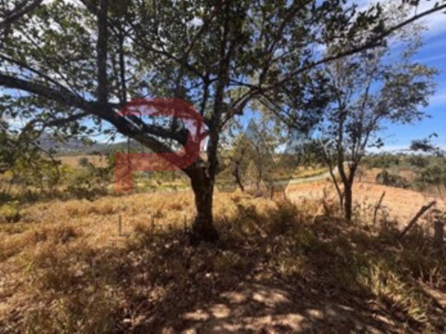 Imóvel urbano: Fazenda Mangonga, Gleba C, em Carmo do Cajuru/MG, com 3 ha (30.000 m²), georreferenciado e confrontando com Rodovia AMG 0330, VRLF Participações e Gleba B. Matrícula nº 23455. Imóvel rural: Fazenda Mangonga em Carmo do Cajuru, localizado em Carmo Do Cajuru - MG