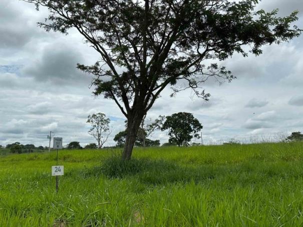 Chácara 24, Quadra 06, localizada na Rua G, no Chacreamento Espelho D’Água, em Abaeté/MG, com área total de 1.000,00 m², matrícula nº 29.128 do CRI de Abaeté/MG.