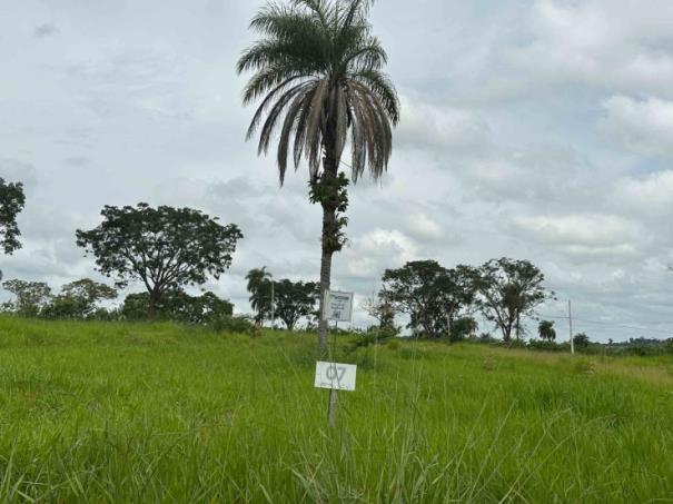 Chácara 07, Quadra 08, localizada na Rua G, no Chacreamento Espelho D’Água, em Abaeté/MG, com área total de 1.000,00 m², matrícula nº 29.186 do CRI de Abaeté/MG.